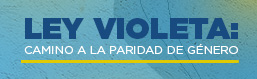 Imagen del curso FORO LEY VIOLETA: CAMINO A LA PARIDAD DE GÉNERO