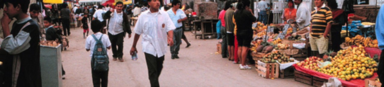 Imprevistos e incertidumbre: manejo de riesgos en la gestión del desarrollo