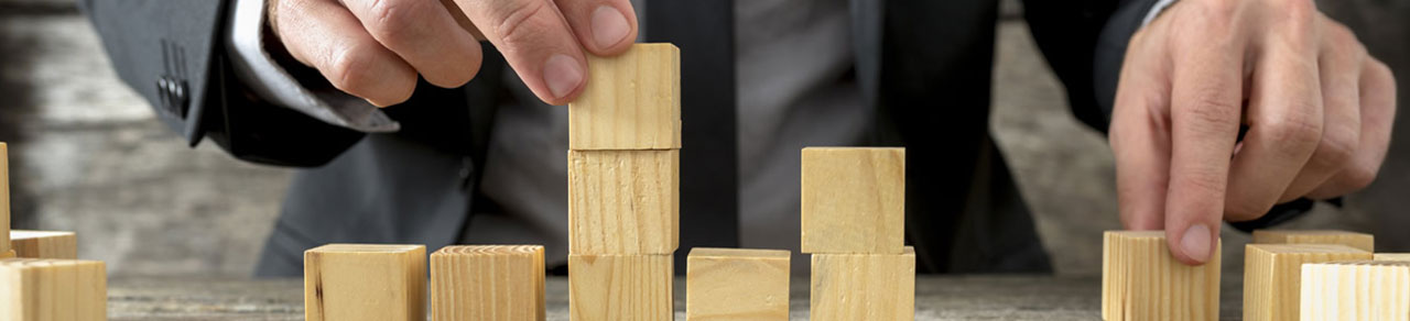 Relaciones intersectoriales público-privadas en Gobiernos Subnacionales