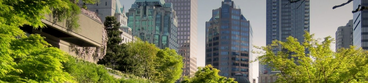 Sistema de Gestión de Riesgo Ambiental y Social: Una oportunidad de negocio