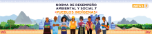 Norma de desempeño ambiental y social 7. Pueblos indígenas